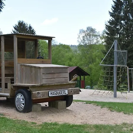Nr 11b2, Hagbuegerl, Bayr Wald *