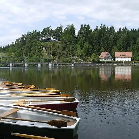 Nr 11b2, Hagbuegerl, Bayr Wald Tatil Evi Waldmünchen