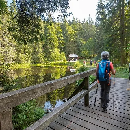 Tatil Evi Nr 11b2, Hagbuegerl, Bayr Wald *